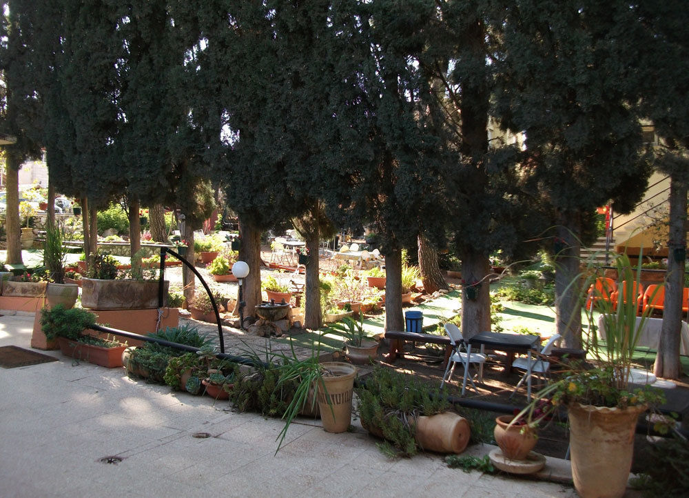 Safed Inn Exterior photo